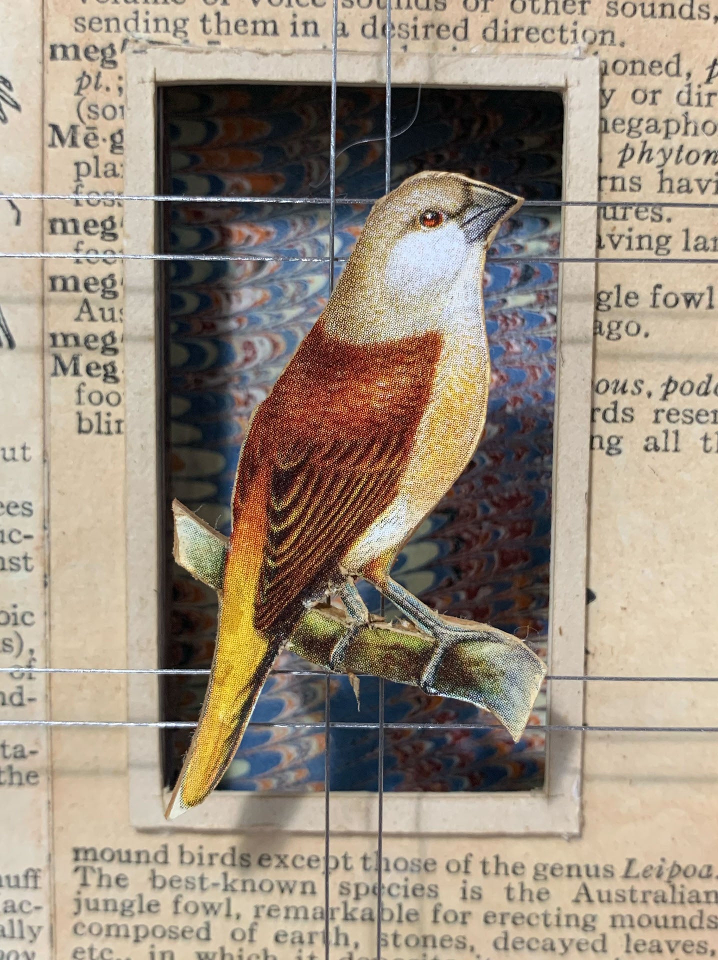 CAGE BIRDS No. 4 - Sold