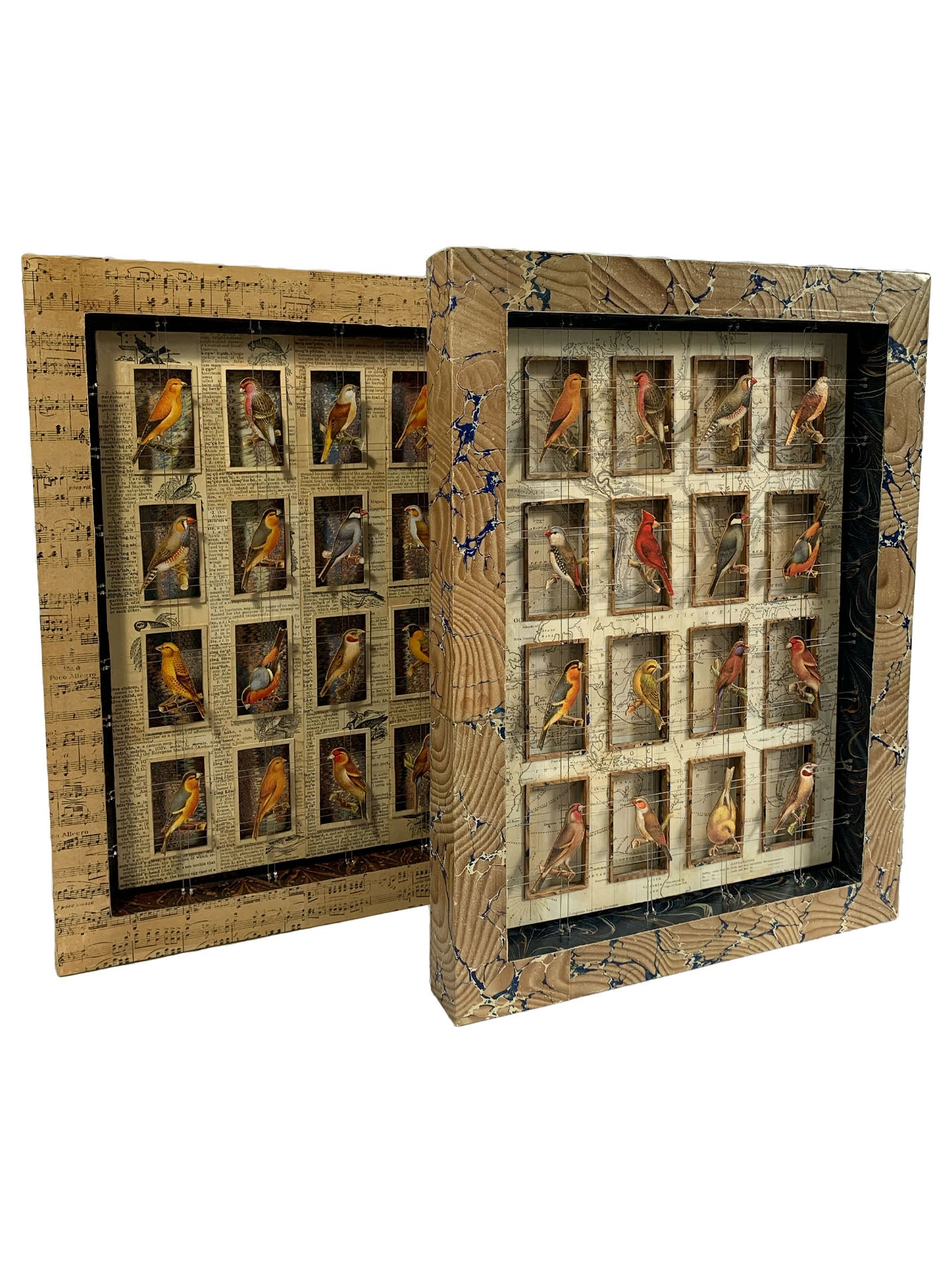 CAGE BIRDS No. 4 - Sold