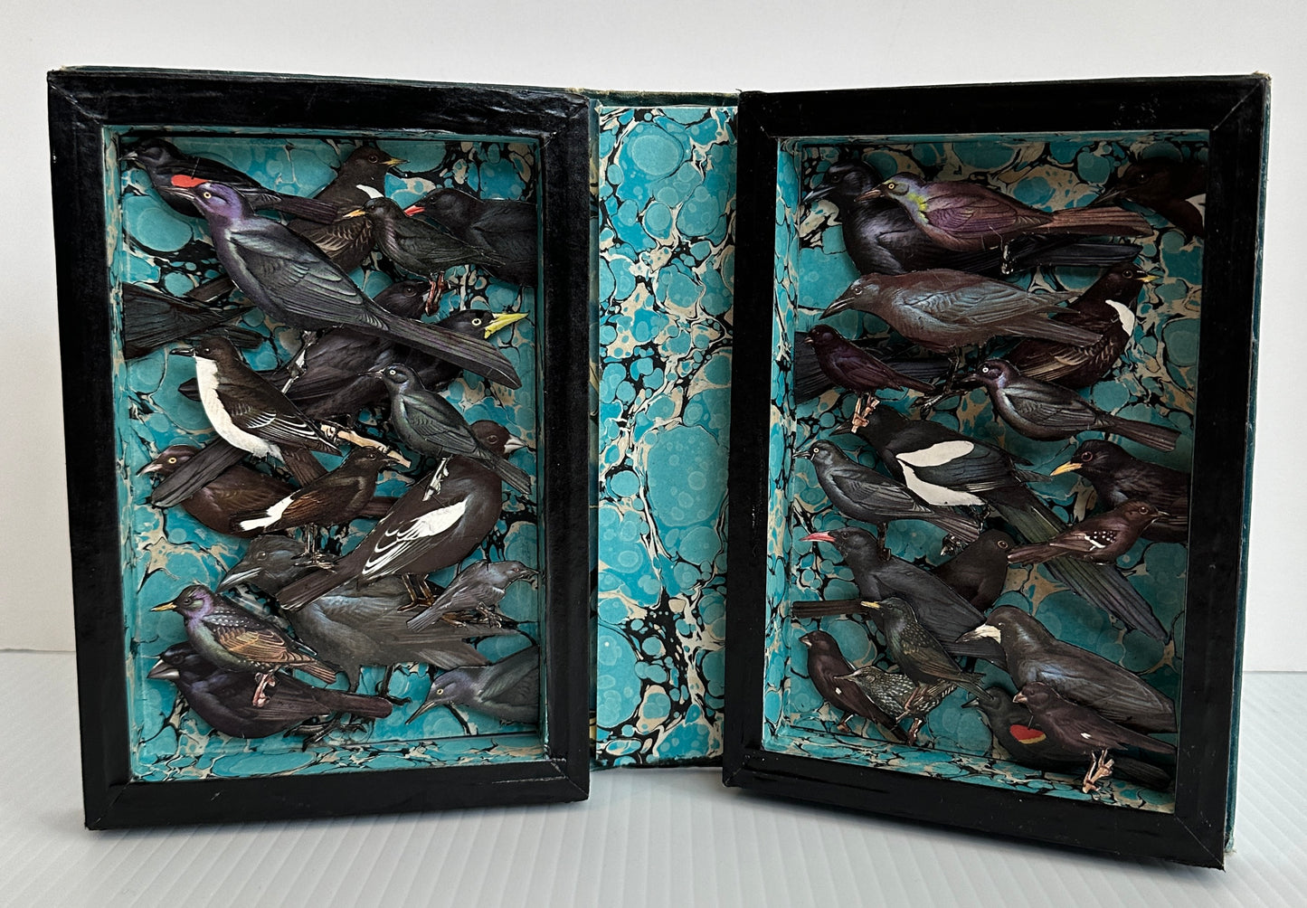 ALTERED BOOK BLACK BIRDS