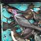 ALTERED BOOK BLACK BIRDS