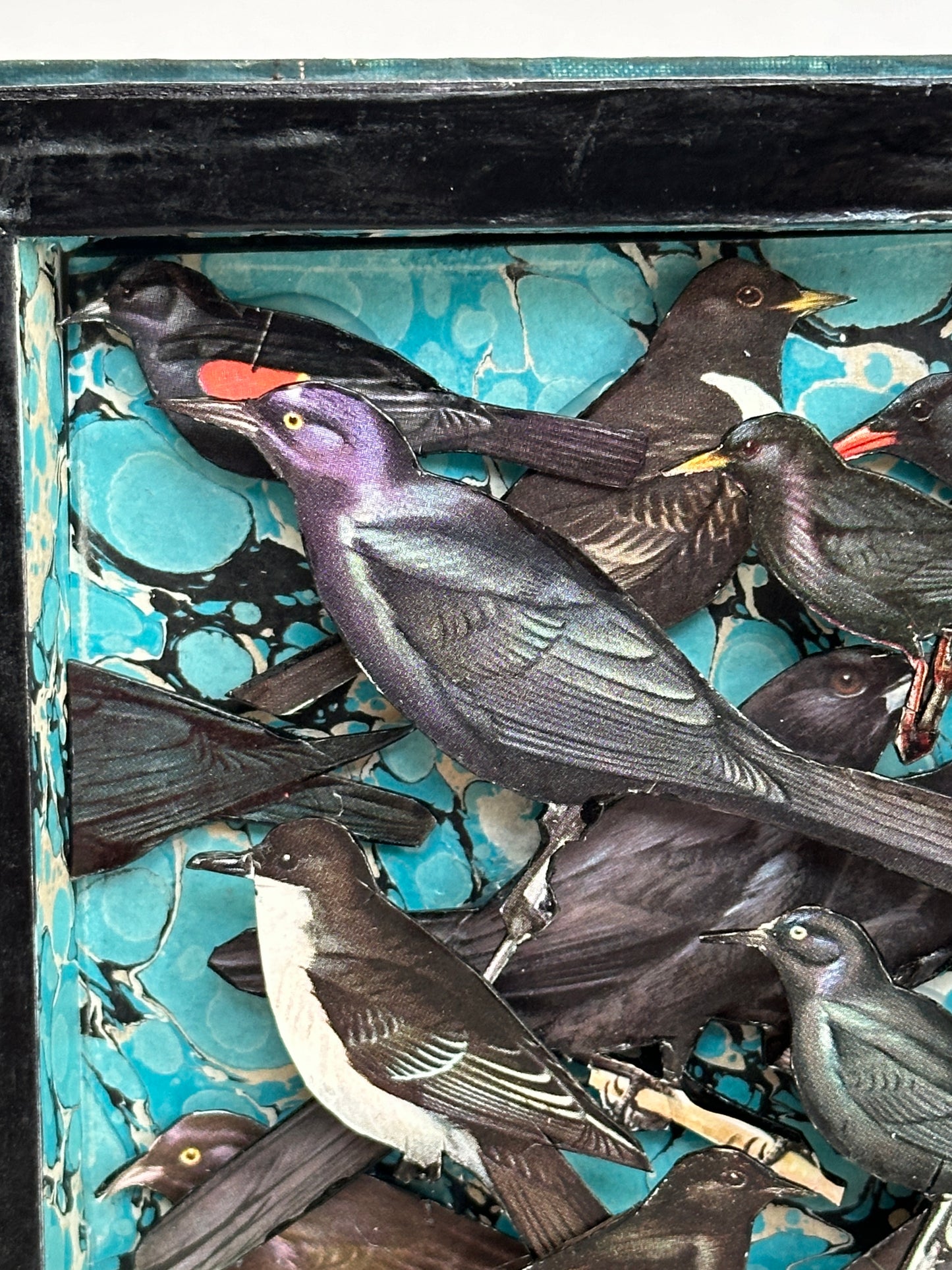 ALTERED BOOK BLACK BIRDS