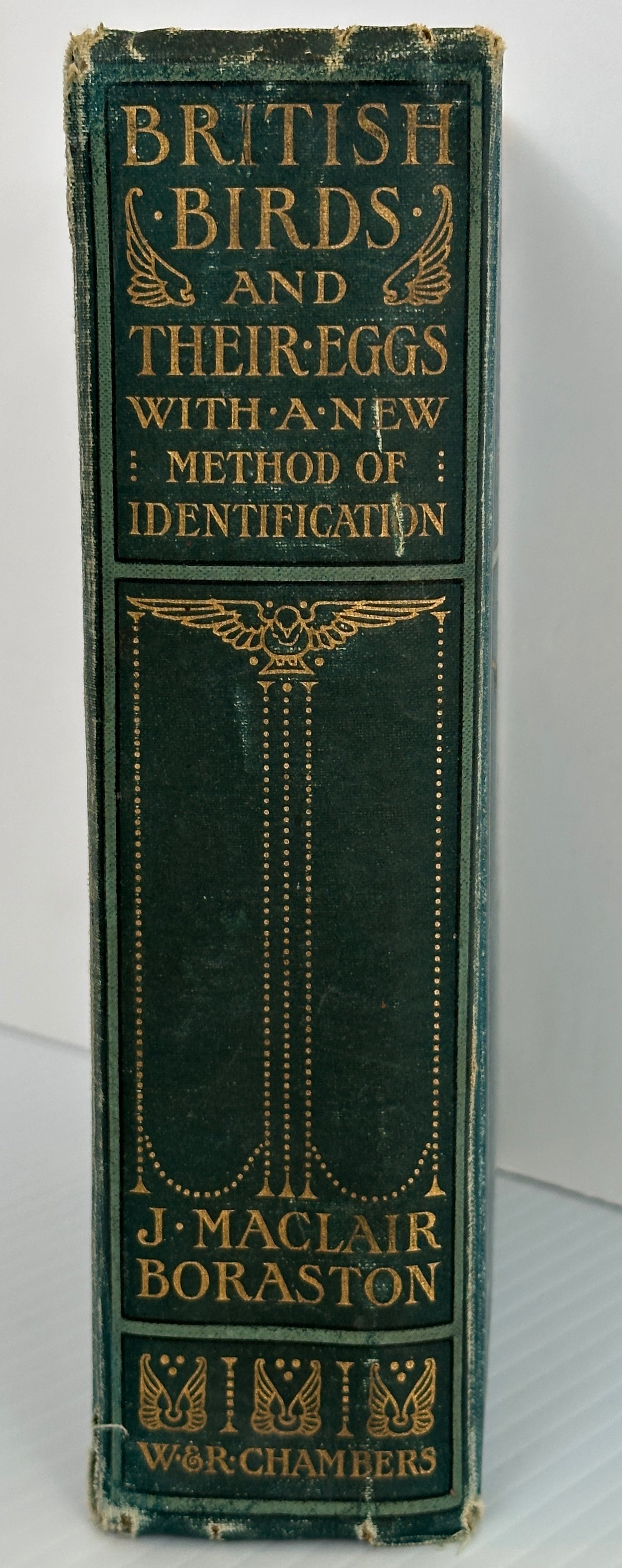 ALTERED BOOK BLACK BIRDS