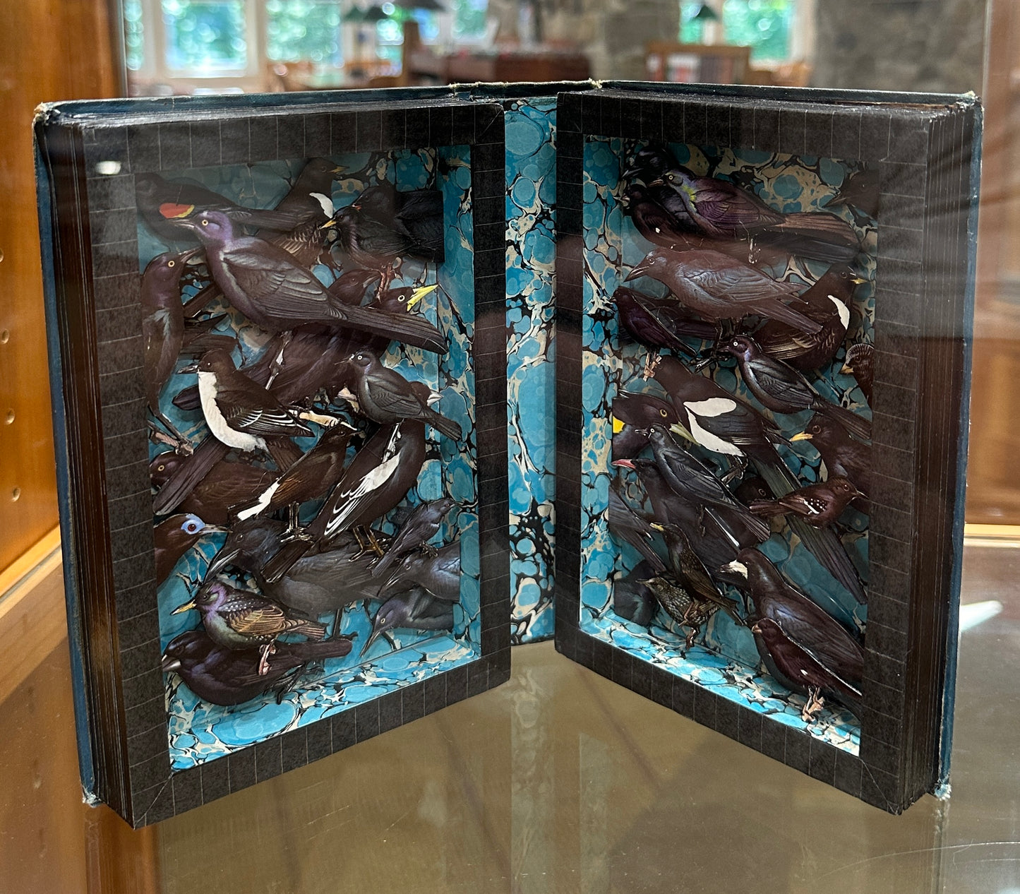 ALTERED BOOK BLACK BIRDS