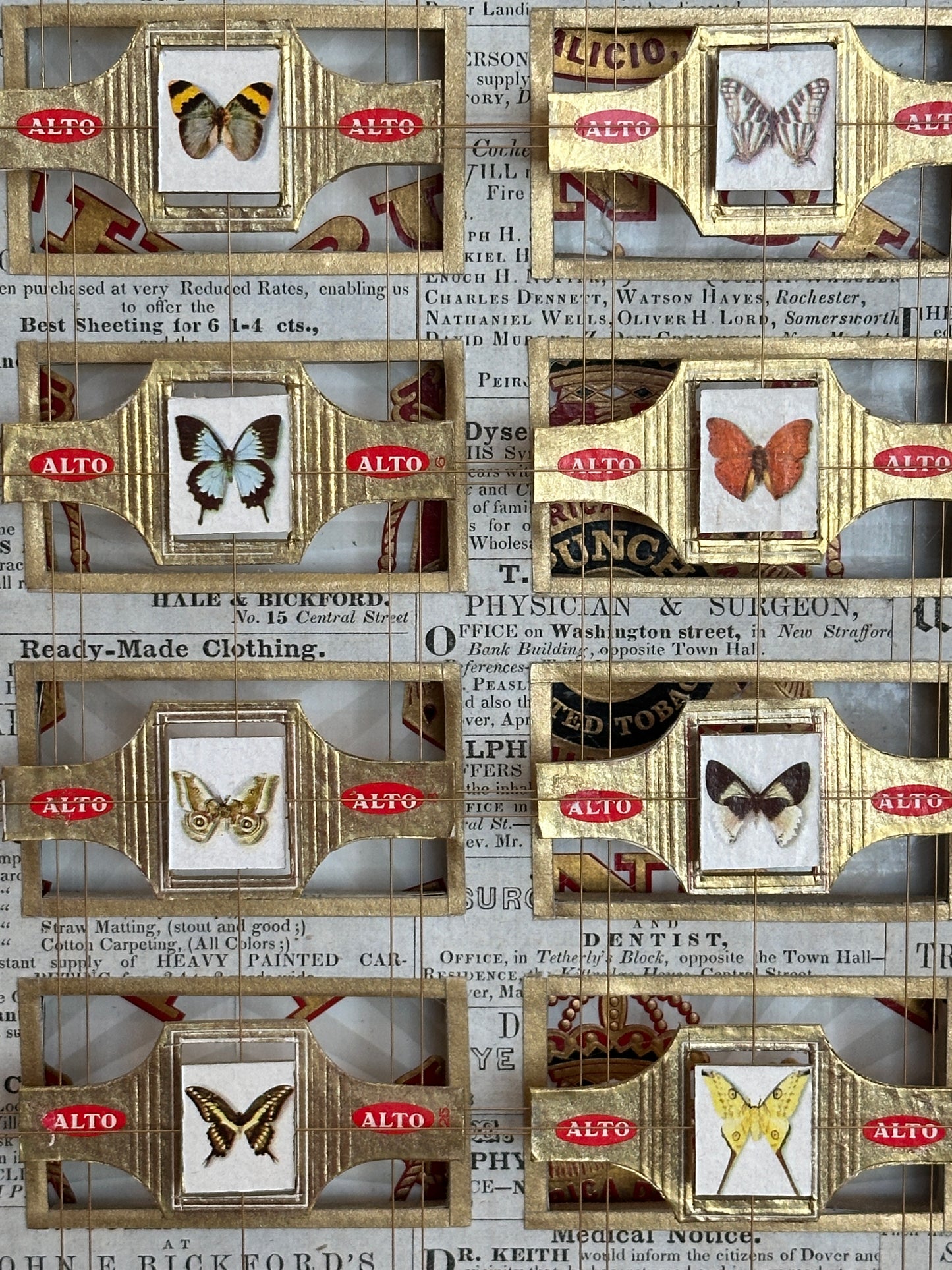 MEDIUM ALTO BUTTERFLY'S CIGAR BOX