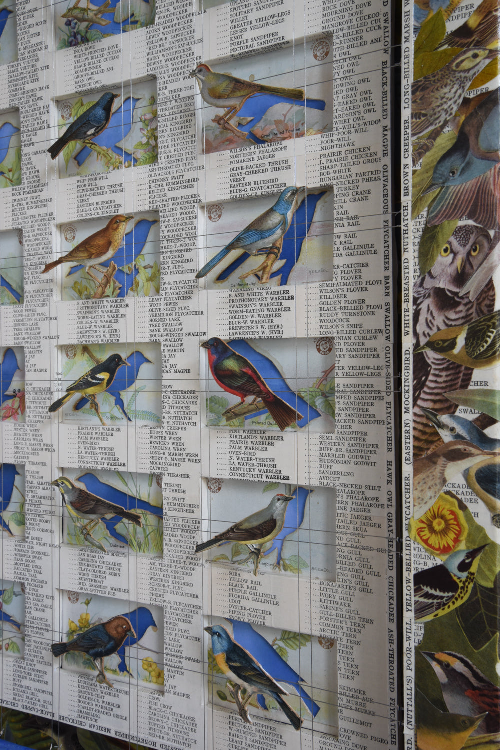 A&H BIRD COLLECTION No. 1 - Sold