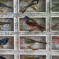 A&H BIRD COLLECTION No. 2 - Sold