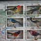 A&H BIRD COLLECTION No. 2 - Sold