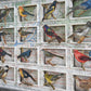 A&H BIRD COLLECTION No. 2 - Sold
