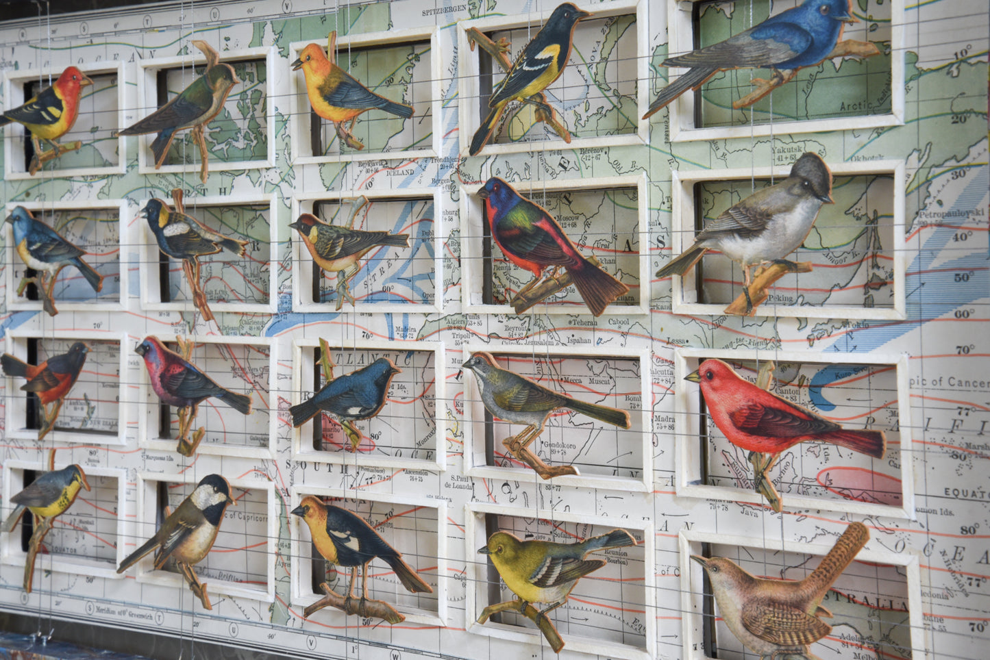 A&H BIRD COLLECTION No. 2 - Sold