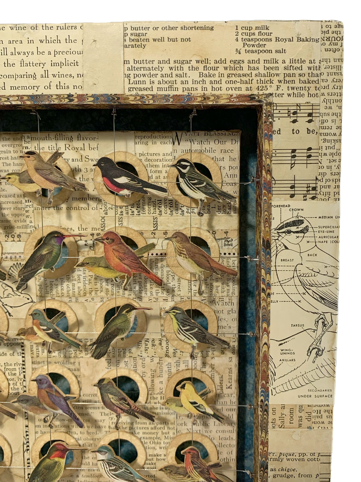 BIRD HOMES No. 1 - Sold