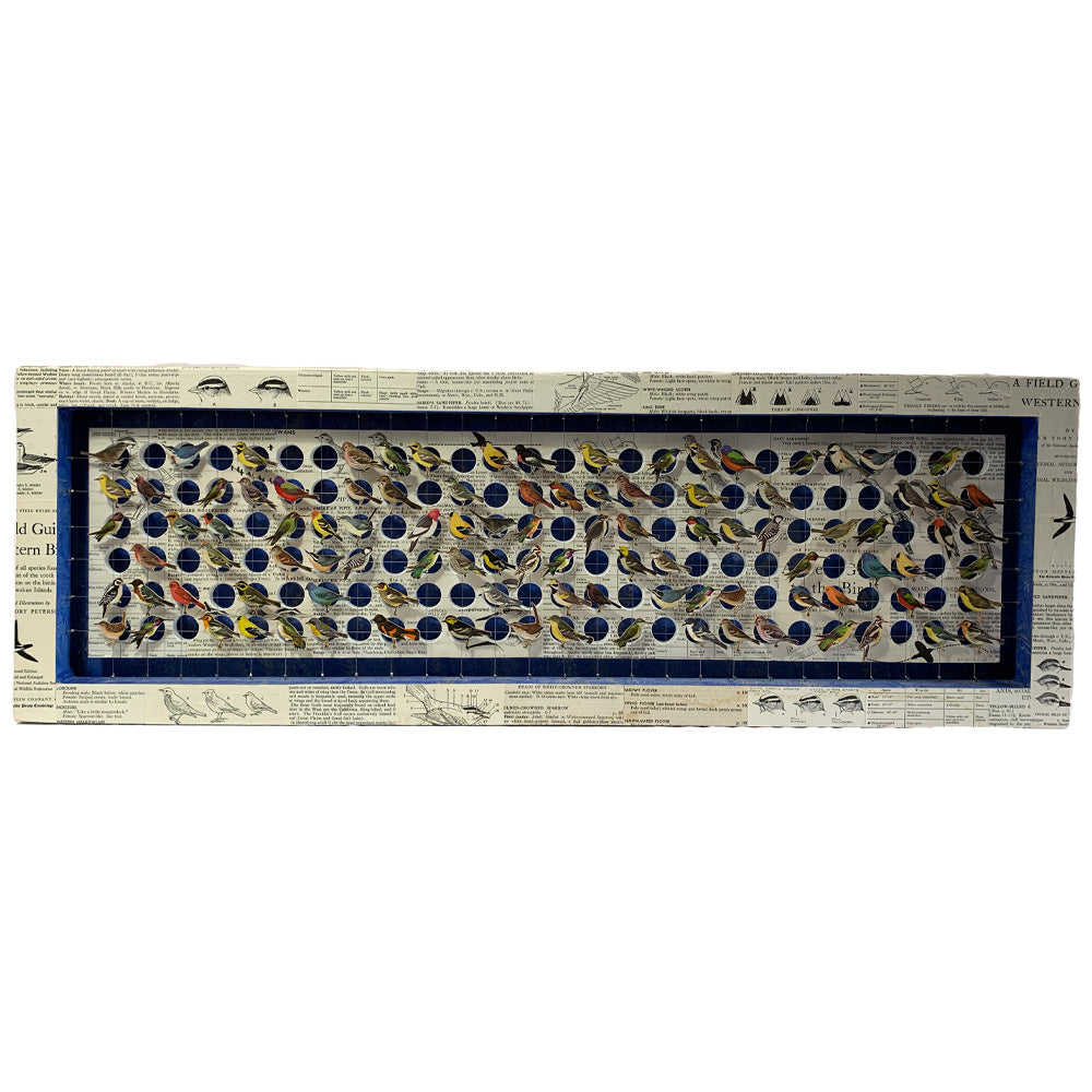 BIRD HOMES No. 3 - Sold