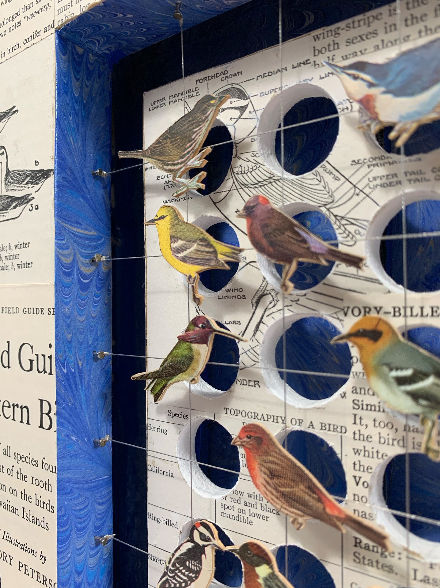 BIRD HOMES No. 3 - Sold