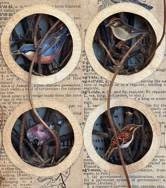 BIRD NEST No. 1