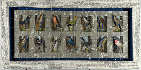 BIRD WORDS