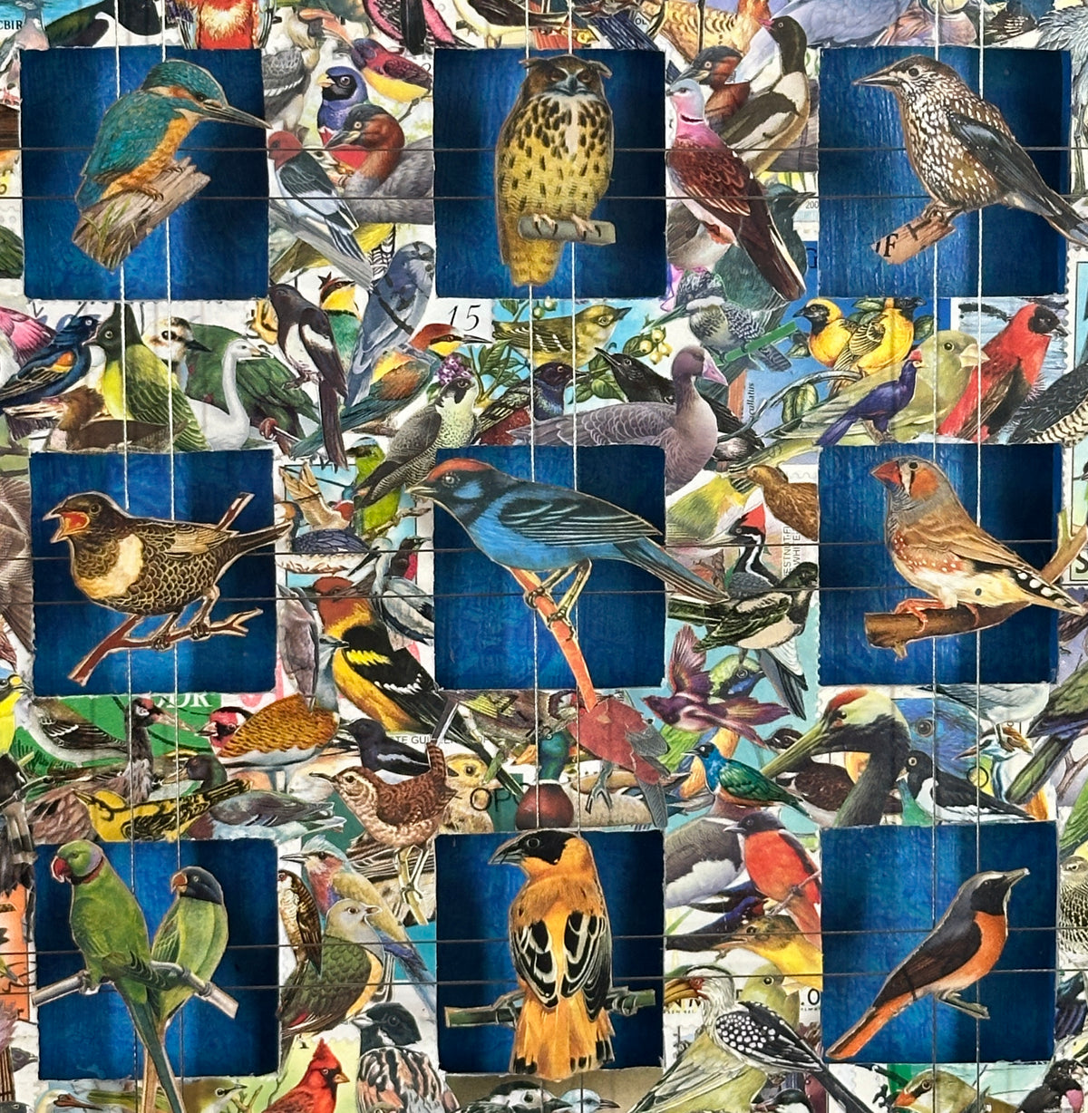 BIRD ARBORETUM