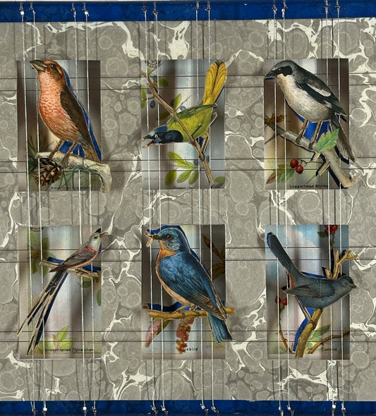 BIRD WORDS