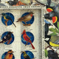 BIRDING CHECKLIST No. 2