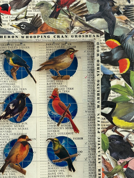 BIRDING CHECKLIST No. 2