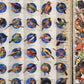 BIRDING CHECKLIST No. 2