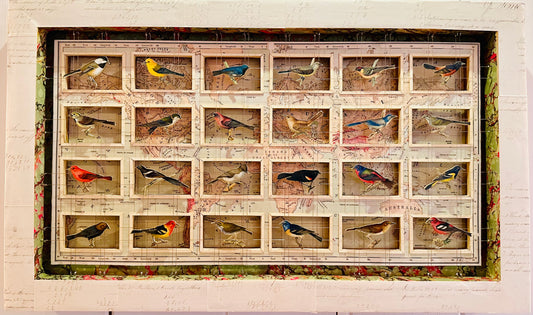 BIRDS AND WORLD MAP