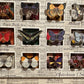 BUTTERFLY GARDEN No. 3