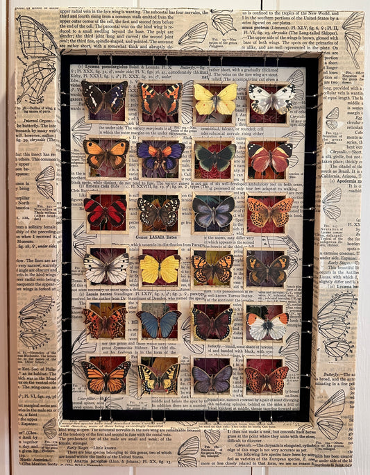 BUTTERFLY GARDEN No. 4 - Sold