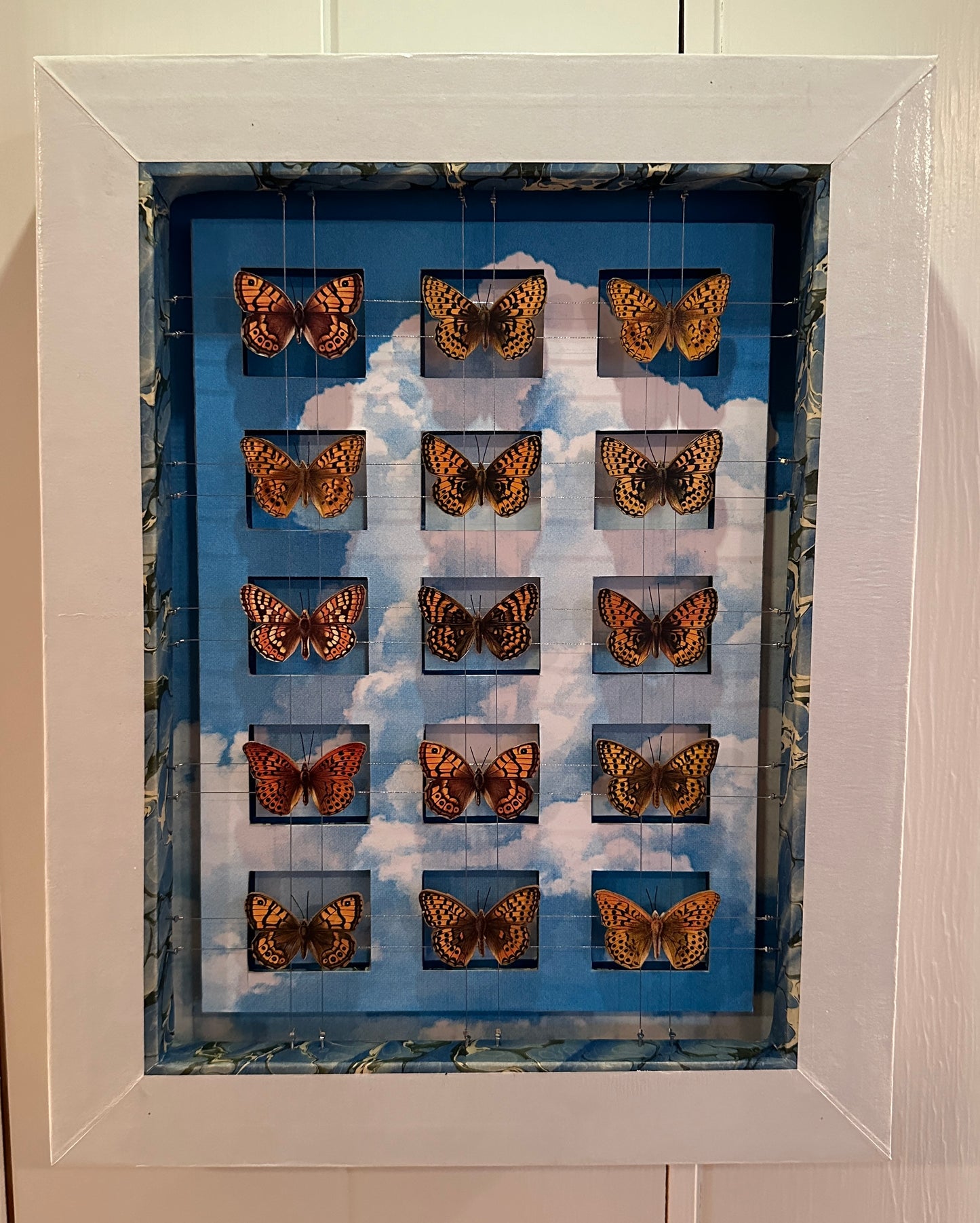 BUTTERFLYS & CLOUDS