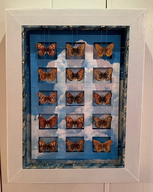 BUTTERFLYS & CLOUDS