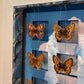 BUTTERFLYS & CLOUDS