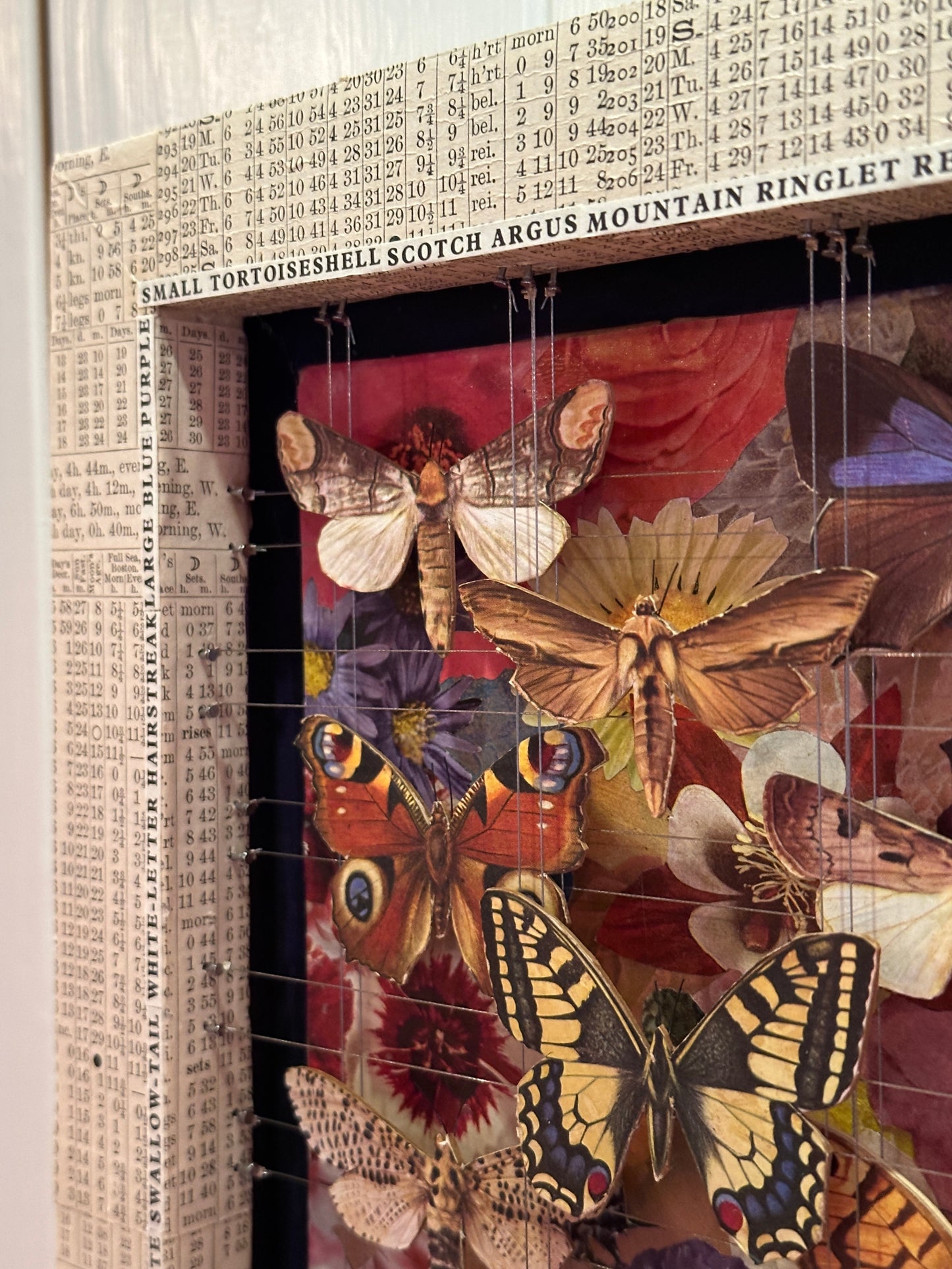 BUTTERFLYS ALMANAC
