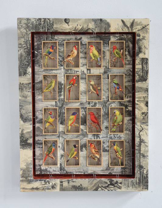 CAGE BIRDS No. 1