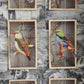 CAGE BIRDS No. 1