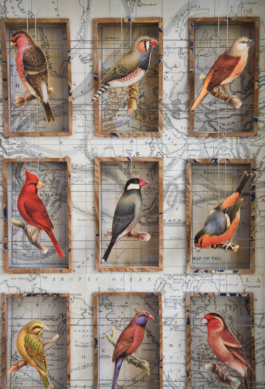 CAGE BIRDS No. 2