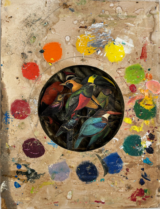 DAPHNE'S BIRDS - NOT FOR SALE