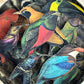 DAPHNE'S BIRDS - NOT FOR SALE
