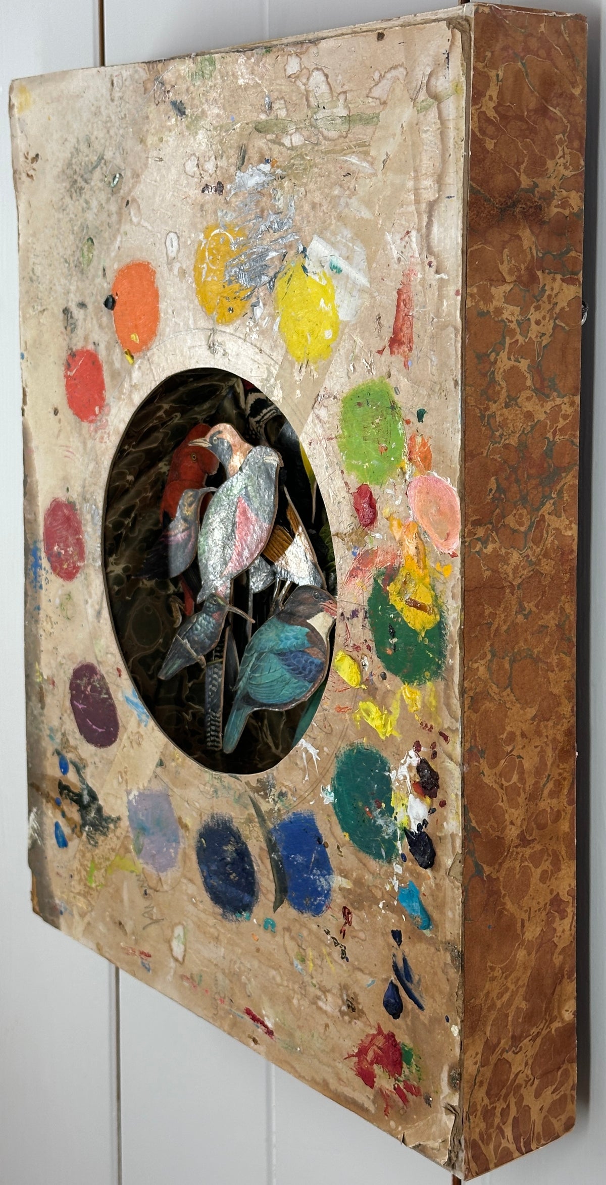 DAPHNE'S BIRDS - NOT FOR SALE