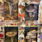 FUNGI FANTASY No. 1
