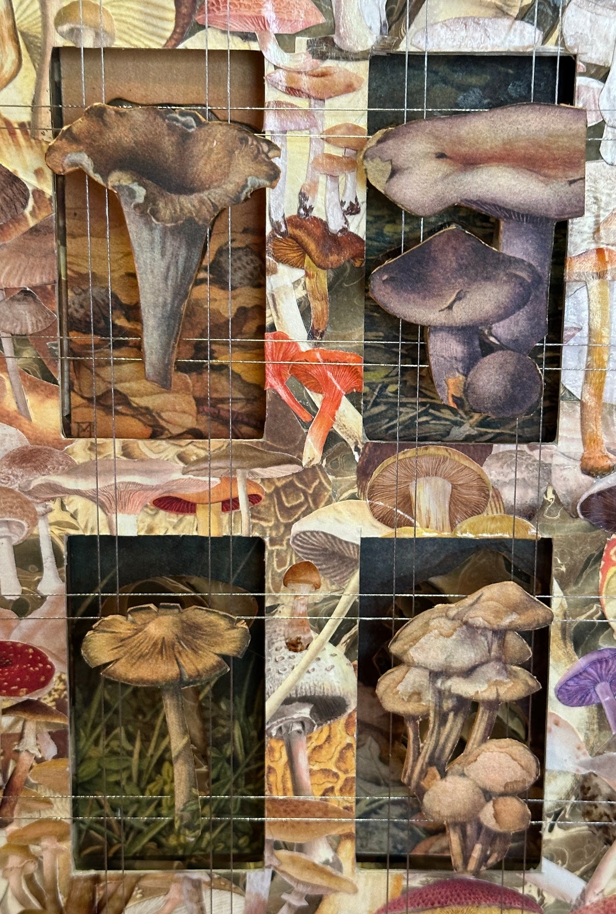 FUNGI FANTASY No. 1