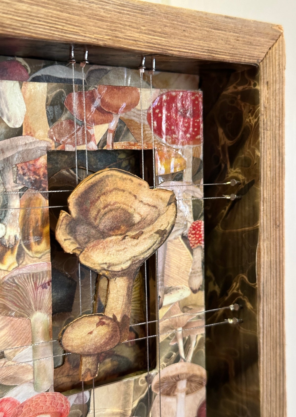 FUNGI FANTASY No. 1