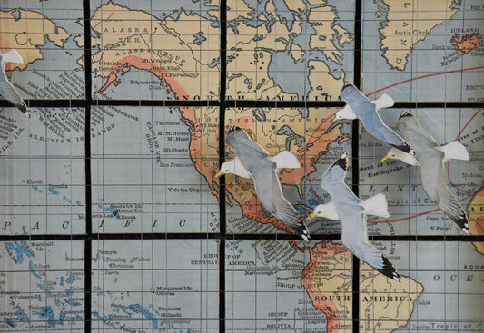 GLOBAL SEAGULLS - Sold