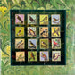 MINI GREEN BIRDS - DONATION