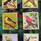 MINI GREEN BIRDS - DONATION