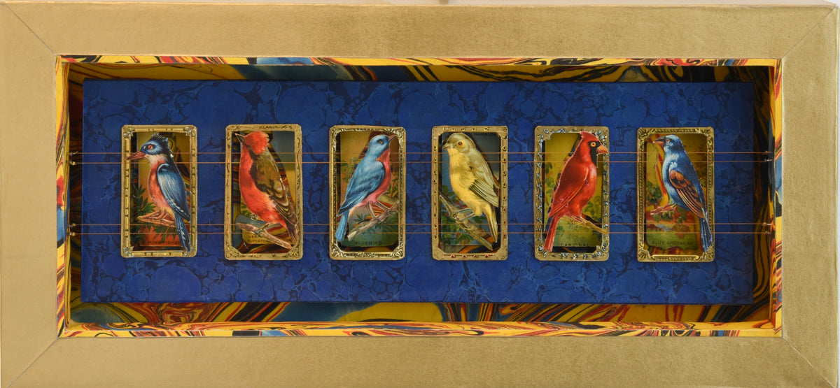 MECCA BIRD CARDS No. 1