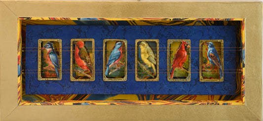 MECCA BIRD CARDS No. 1