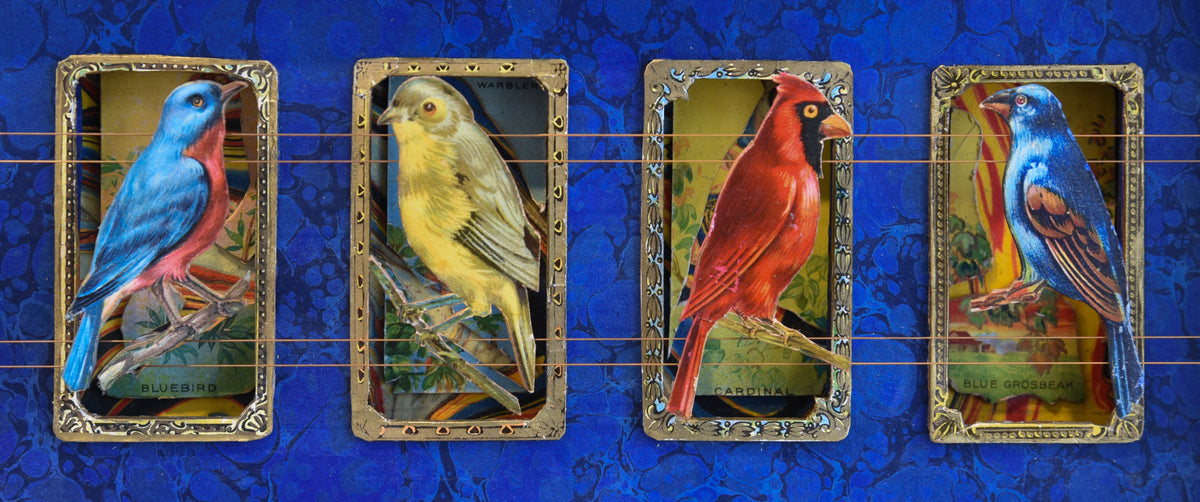MECCA BIRD CARDS No. 1