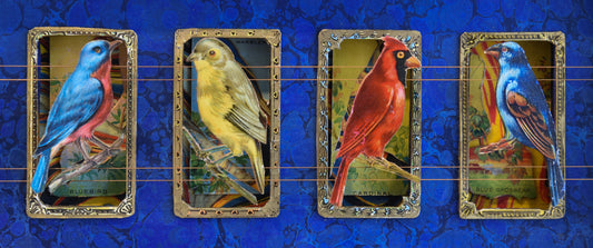 MECCA BIRD CARDS No. 1