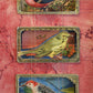 MECCA BIRD CARDS No. 2