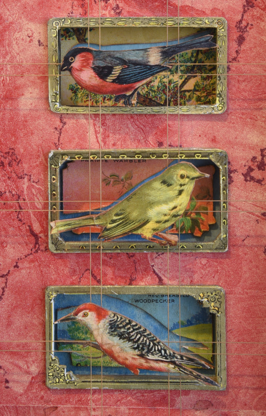 MECCA BIRD CARDS No. 2