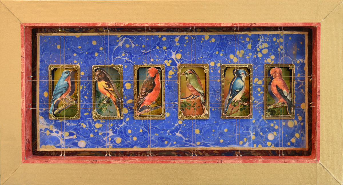 MECCA BIRD CARDS No. 3