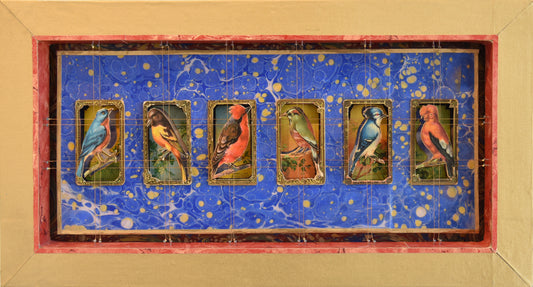 MECCA BIRD CARDS No. 3